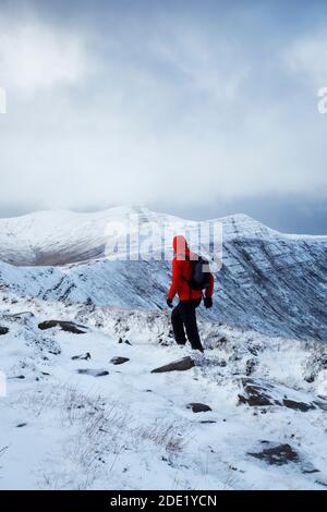 Hillwalker nähert sich Fan y Big. Brecon Beacons National Park. Wales. VEREINIGTES KÖNIGREICH. Corn Du; Pen y Fan und Cribyn in der Ferne. Stockfoto