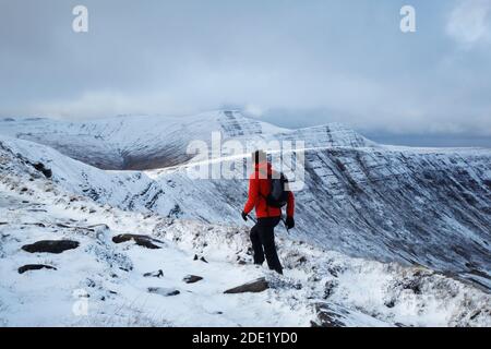 Hillwalker nähert sich Fan y Big. Brecon Beacons National Park. Wales. VEREINIGTES KÖNIGREICH. Corn Du; Pen y Fan und Cribyn in der Ferne. Stockfoto