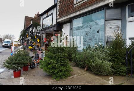 Tenterden, Großbritannien. November 2020. Weihnachtsbäume zum Verkauf außerhalb Webb's Ironmongery Store in der normalerweise belebten High Street in Tenterden in der Mitte der Kent Landschaft. Die Stadt schließt sich dem Rest der Grafschaft in der Lage, in Tier 3 der Coronavirus-Einschränkungen, wenn die aktuelle nationale Sperre endet am 2. Dezember platziert. Quelle: Richard Crease / Alamy Live News Stockfoto