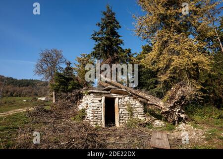 Gefallener Baum durch den sehr starken Wind auf einem kleinen Steinhaus in italienischen Alpen, Venetien, Italien, Europa. Stockfoto