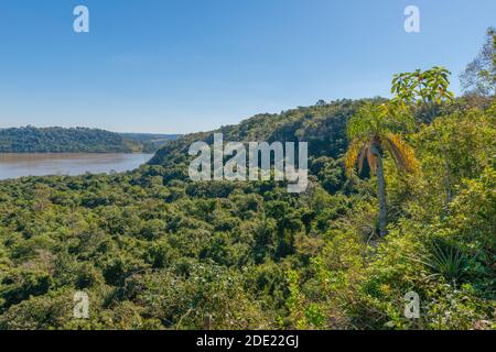 Parque Provincial Teyú-Cuare am Paraná River, San Ignacio, Provinz Misiones, Argentinien, Lateinamerika, Stockfoto