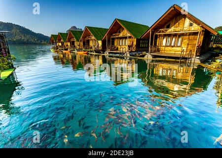 Surat Thani, Thailand - 28 Dezember 2019 - Schwimmende bangalows warten auf Touristen zum Cheow Lan Damm oder Ratchaprapa Dam in der Provinz Surat Thani zu gelangen, Stockfoto