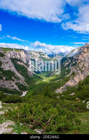 Blick über ein tiefes V-förmiges, bewaldetes Tal zum spektakulären Tre Cime in den norditalienischen Dolmen Stockfoto