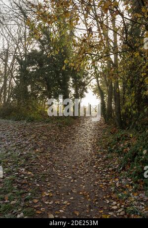 Ein Feldtor führt zu offenen Feldern in St. Michaels Mead, Bishops Stortford Stockfoto