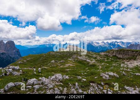 Unglaubliche Naturlandschaft in den Dolomiten Alpen. Blühende Wiese im Frühling. Blumen in den Bergen. Frühlingsfrische Blumen. Stockfoto