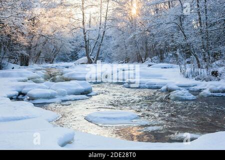 Fließender Fluss in verschneiten Wäldern Stockfoto