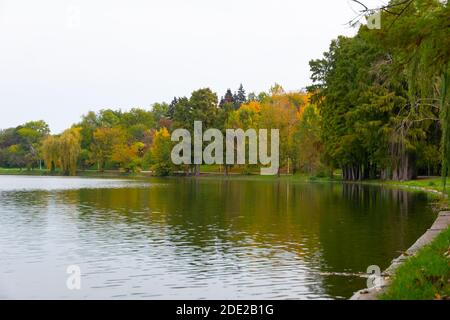 Herbstlandschaft am Seeufer, im Tineretului Park. Bukarest, Rumänien, 25. Oktober 2020 Stockfoto