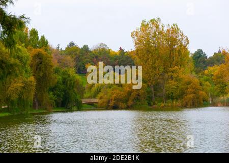 Herbstlandschaft im Tineretului Park. Bukarest, Rumänien, 25. Oktober 2020 Stockfoto