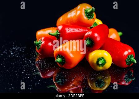 Viele Paprika, gelb, orange und rot auf schwarzem Hintergrund, mit Spiegelung und Tau-Spritzern. Stockfoto