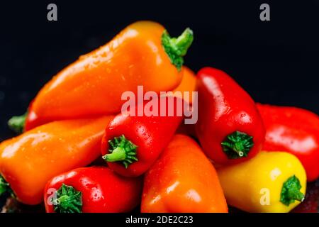 Frische kleine Paprika schaffen einen farbenfrohen Hintergrund, einen Ort des Urheberrechts. Schwarzer Hintergrund mit Wasserspritzern. Stockfoto