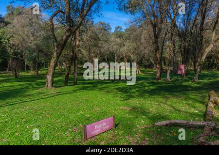 Irrgation systen in der Antike, Ruinen der Jesuiten-Mission Santa Ana, UNESCO-Weltkulturerbe, Provincia Misiones, Argentinien, Lateinamerika Stockfoto