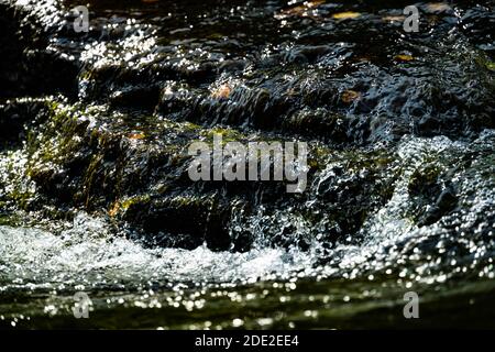 Nahaufnahme von sauberem klarem Wasser, das über Felsen in einem Flusslauf rauscht. . Hochwertige Fotos Stockfoto