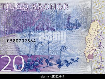 Schweden 20 krona (2015) Banknote Nahaufnahme, Schwedisches Geld Nahaufnahme. Stockfoto