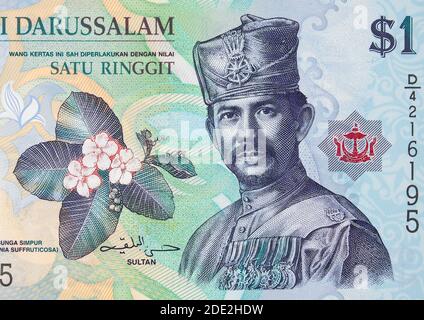 Sultan Hassanal Bolkiah Porträt auf Brunei 1 Dollar (2011) Banknote Nahaufnahme, Südostasien Geld Nahaufnahme. Stockfoto