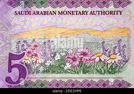 Saudi-Arabien 5 riyal (2016) Banknotenfragment, Blumenwiese, Saudi-arabisches Geld aus nächster Nähe Stockfoto