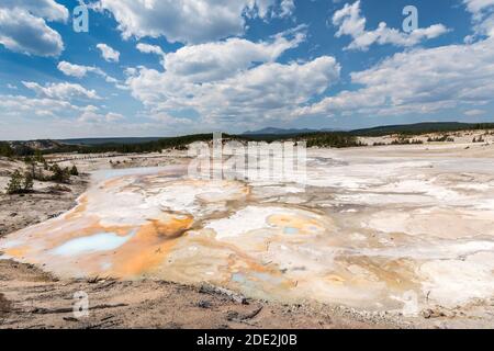 Norris Geyser Basin, Yellowstone-Nationalpark, Wyoming, USA Stockfoto