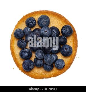 Draufsicht auf goldgerösteten runden Zwieback-Toast aka beschuit mit Heidelbeeren oben. Isoliert auf weißem Hintergrund. Stockfoto