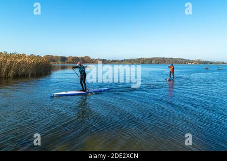 Kanufahren und Aktivität SUP, touristisches Highlight, Sport am See, Noor, Busdorf bei Schleswig, Schleswig-Holstein, Norddeutschland, Mitteleuropa Stockfoto