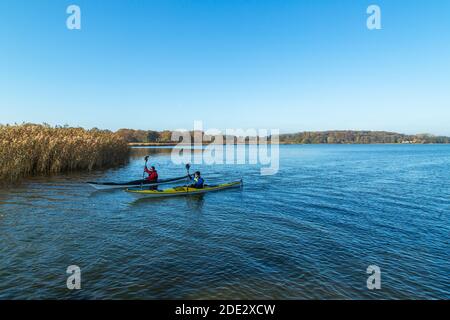 Kanufahren und Aktivität SUP, touristisches Highlight, Sport am See, Noor, Busdorf bei Schleswig, Schleswig-Holstein, Norddeutschland, Mitteleuropa Stockfoto