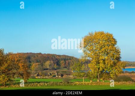 Modernes Wikingermuseum Haithabu, Busdorf bei Schleswig, Haddebyer Noor, Schleiregion, touristisches Highlight, Schleswig-Holstein, Norddeutschland, Europa Stockfoto