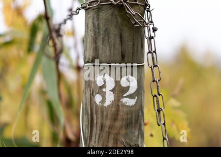Stock im Weinberg mit der gedruckten Nummer 32 Stockfoto