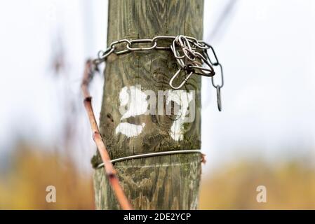 Stock im Weinberg mit der gedruckten Nummer 27 Stockfoto