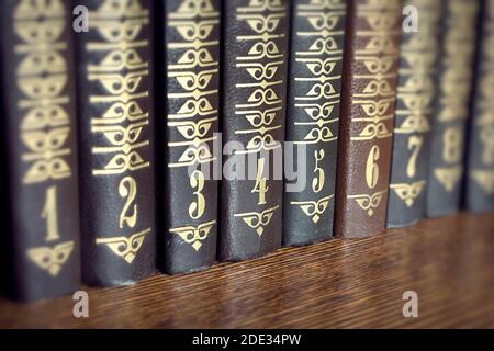 Sammlung von mehreren Bänden von Büchern auf einem Holzregal Stockfoto
