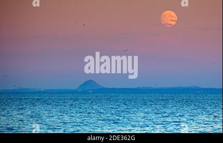 Portobello, Edinburgh, Schottland, Großbritannien. 28. November 2020. Bei twilght, einem fast vollen Wachsen Gibbous Beaver Moon steigt über East Lothian und der Firth of Forth mit Berwick Law im Hintergrund, der Vollmond tritt am 30. November. Quelle: Arch White/Alamy Live News. Stockfoto