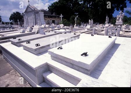 Das Grab von Ibrahim Ferrer der Buena vista Social club auf dem Friedhof von Necropolis Cristobal Colon in der Stadt Havanna auf Kuba in der karibik Stockfoto