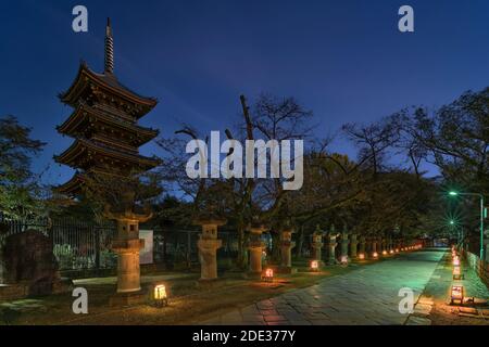 tokio, japan - 10 2019. november: Fünf-stöckige Pagode des Kaneiji-Tempels bei Nacht mit beleuchteten Steinlaternen entlang des Weges nach Ueno Tosho-g Stockfoto