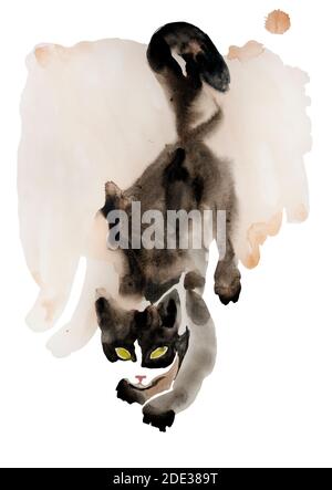 Schwarz und weiß Aquarell schleichen Katze nassen Fluss wässercoulor original Kunst Stockfoto