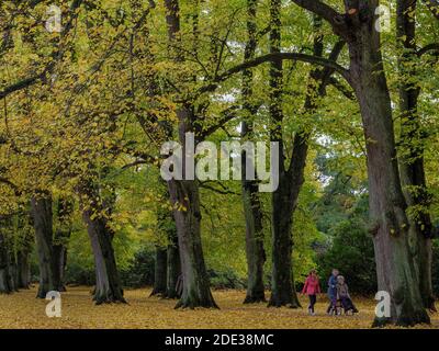 Indian Summer, Limetere Gasse in Hirschpark in Hamburg-Blankenese, Deutschland, Europa Stockfoto