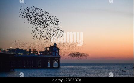 Brighton UK 28. November 2020 - Besucher genießen den Sonnenuntergang am späten Nachmittag und das sternenhafte Murmeln am Strand von Brighton und am Meer, während ein schöner warmer Herbsttag an der Südküste zu Ende geht : Credit Simon Dack / Alamy Live News Stockfoto