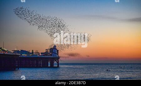 Brighton UK 28. November 2020 - Paddle Boarders Genießen Sie den Sonnenuntergang am späten Nachmittag und das sternenhafte Murmeln am Brighton Palace Pier, während ein schöner warmer Herbsttag an der Südküste zu Ende geht : Credit Simon Dack / Alamy Live News Stockfoto