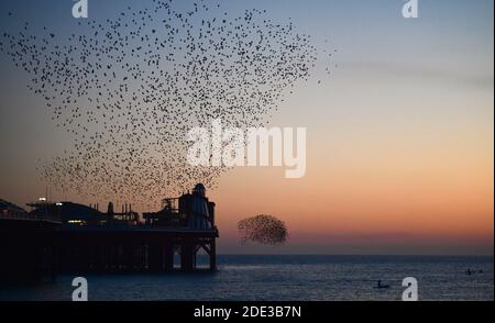 Brighton UK 28. November 2020 - Paddle Boarders Genießen Sie den Sonnenuntergang am späten Nachmittag und das sternenhafte Murmeln am Brighton Palace Pier, während ein schöner warmer Herbsttag an der Südküste zu Ende geht : Credit Simon Dack / Alamy Live News Stockfoto