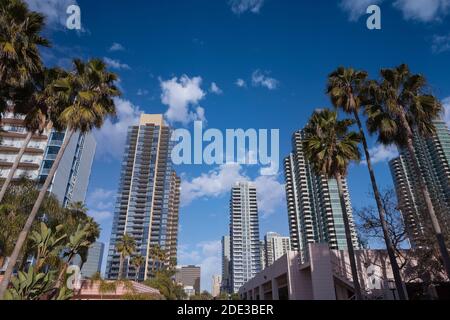 Moderne Türme, hohe Palmen mit bewölktem Himmel in der Innenstadt von San Diego, Kalifornien. Stockfoto