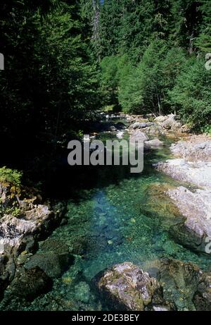 Little North Fork Santiam River, Opal Creek Scenic Recreation Area, Willamette National Forest, Oregon Stockfoto