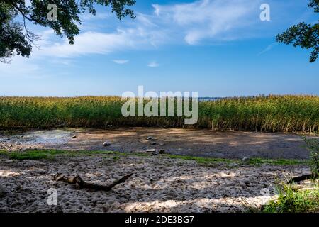 Ein Sandstrand an einem schönen See. Blauer Himmel im Hintergrund. Bild von Ringsjon im Malmö in Südschweden Stockfoto