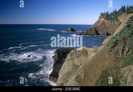 Cape Falcon, Oswald West State Park, Oregon Stockfoto