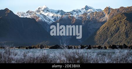 Lake Matheson bietet atemberaubende Spiegelungen der höchsten Gipfel Neuseelands - Aoraki (Mount Cook) und Mount Tasman. Stockfoto