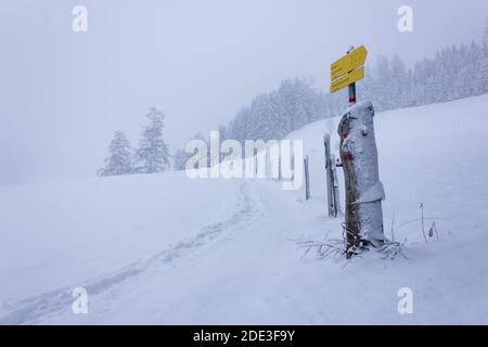 Verschneite Landschaft in den österreichischen alpen mit Wanderweg und Wegweiser (Filzmoos, Salzburger Land) Stockfoto