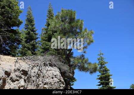 Donner Summit, Kalifornien Stockfoto