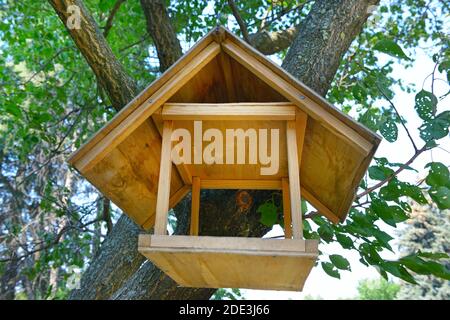 Futterhäuschen für Vögel im Stadtpark. Kleines Vogelhaus. Stockfoto