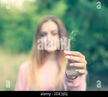 Junge kaukasische Dame in rosa Pullover hält kleine gezupft Blume auf ihren Händen während des Gehens Stockfoto