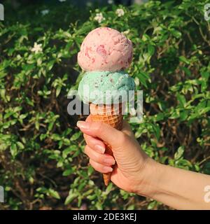 Zwei Kugeln Eis-Kegel in der Hand der Frau schmelzen Im Sonnenlicht Stockfoto