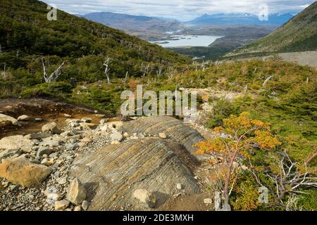 Blick auf den Nordenskjodl See von Mirador Valle Francés, Torres del Paine Nationalpark, Patagonien, Chile Stockfoto