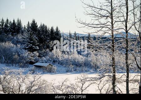 Malerische Aussicht auf kleine Holzhütte in verschneiten Wäldern auf Sonniger Tag im Winter Stockfoto