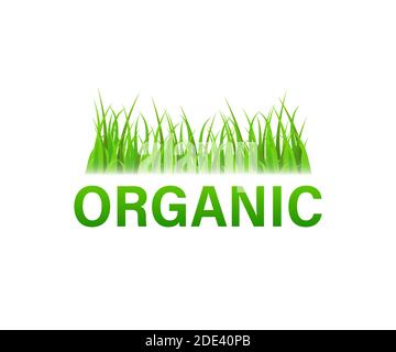 Organisch. Grüne Gras Wiese Grenze. Vektorgrafik. Stock Vektor