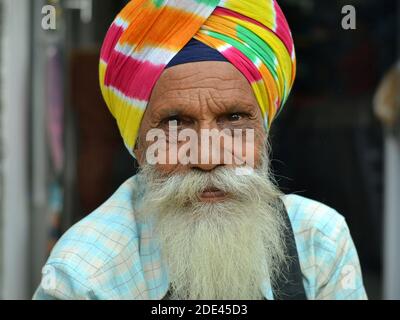 Gefühlvoller alter indischer Sikh-Mann mit gelebtem faltigen Gesicht und freundlichen braunen Augen trägt einen bunten Sikh dastar Turban und posiert für die Kamera. Stockfoto