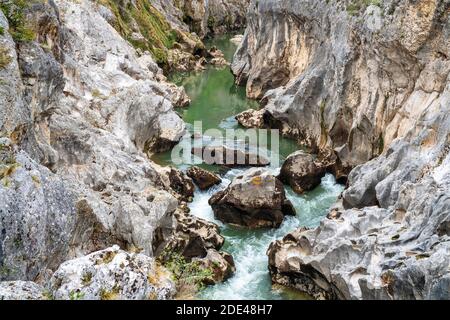 Gorges de l'Herault zwischen St Martin de Londres und St Guilhem le Desert, Languedoc Roussillon Heraul, Frankreich Stockfoto